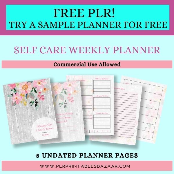 PLR TEMPLATE Coloring Self Care Planner – Busy Bee Content